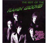 Shake Some Action: Best of the Flamin' Groovies