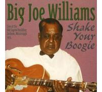 Big Joe Williams - Shake Your Boogie
