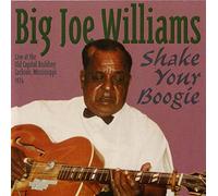 Shake Your Boogie by Big Joe Williams (2007-08-07)