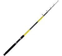 Shakespeare Beta Telescopic Spin Rod 10’ 20-50g