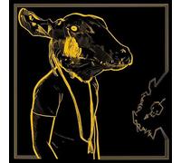 Shakey Graves - Roll The Bones X [VINYL]
