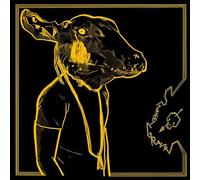 Shakey Graves - Roll The Bones X [VINYL]