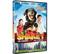 Shakey, un amour de chien