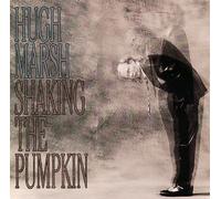 Shakin the Pumpkin