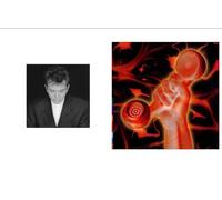 Shaking The Tree 16 Golden Greatest Hits - Secret World Live - Peter Gabriel Greatest Hits Live Two Album Bundling