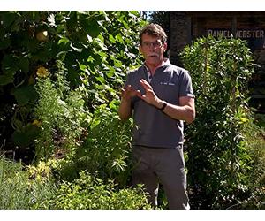 Shaking Up the Margarita