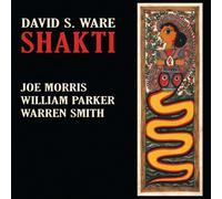 Shakti by David S. Ware (2009-01-27)