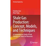 Shale Gas Production: Concept, Models, and Techniques: A Comprehensive Study of Fluid Transport in Shale Gas Reservoirs (Petroleum Engineering)
