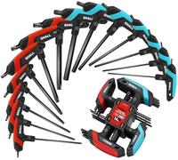 Shall 14-Piece T-Handle Hex Key Set, 7-Piece Metric and 7-Piece Torx, Portable Hex Key Set with Storage Rack for Car and Bike Repair, DIY, Home Repair and Mechanical Maintenance