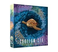 Shallow Sea Board Game - Strategy Tile-Placement Game for Adults & Families | 1-4 Players, 30-45 Min Play | Build Coral Reef Ecosystem, Ocean Puzzle Game, Nature-Inspired (Nesting Season Expansion)