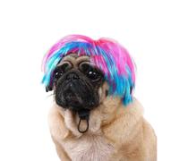 Shamatte Light Blue Curly Dog Wig with Adjustable Elastic Bands, Funny Pet Cosplay for Halloween & Christmas Parties