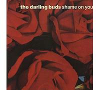 Shame On You