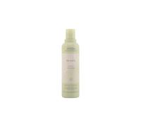 Shampoo for Curly Hair Be Curl Aveda (250 ml)