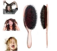 Shampoo-Free Hairbrush Wet Hairbrush Women's Bristle Styling Painless Spiral Detangling Brush for Curly, Thick and Dry Hair(Rose gold)
