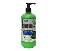 Shampoo without Salt Oily Hair - Real Natura 500 ml