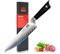 SHAN ZU Damascus Chef Knife 8 Inch, Japanese Kitchen Knives 67-Layer High Carbon Steel (10Cr15Mov) Ultra Sharp Professional Kitchen Utility Knife with G10 Ergonomic Handle