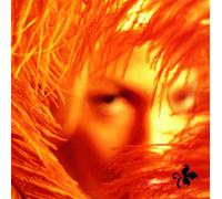 Stone Temple Pilots – Shangri-La Dee Da – Vinyl – Music on Vinyl