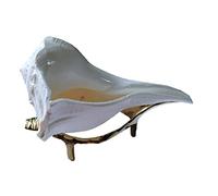 Shankh Original with Stand 5 inch Big Size Natural Valampuri Sangu for Pooja Pure White