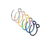 ShanLily 6Pcs Fake Nose Ring Helix Lip Ring Nose Ring Earring Stud Faux Piercing Jewelry, 0.8cm, Stainless Steel, no gemstone
