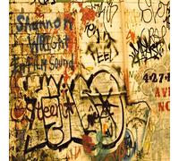 Shannon Wright - In Film Sound