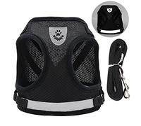 Shanrya Pet Walking Leash Set Dog Harness and Breathable Reflective Leash for Medium Dogs (M)