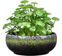 SHANYAYALI Simple Ceramic Hydroponic Flowerpot Large Non-Porous Daffodil Plant Pot Retro Flow Glaze Succulent Platter Copper Money Grass/one Leaf Lotus/Bowl Lotus Basin-Style 1||S(M)