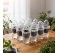 shaojian 12Pcs Seedling Pots Self Watering Clear Plastic Plant Pots with Humidity Dome and Drainage Small Plant Container for Seedlings, Cuttings, Succulents, Herbs, Vegetables