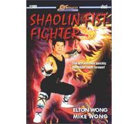 Shaolin Fist Fighter