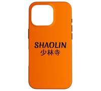 Shaolin Kung Fu Monastery Temple Case for iPhone 16 Pro
