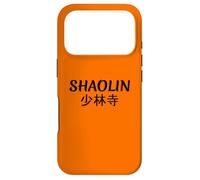 Shaolin Kung Fu Monastery Temple Case for iPhone 17 Pro