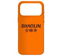 Shaolin Kung Fu Monastery Temple Case for iPhone 17 Pro Max