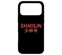 Shaolin Kung Fu Temple Case for iPhone 17 Pro Max
