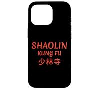 Shaolin Kung Fu Temple in Chinese letters Case for iPhone 16 Pro
