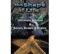 Shape of Life 4: Ultimate Animal & Bones [DVD] [Region 1] [US Import] [NTSC]