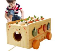 Shape Sorters for Kids - Wooden Cute Fun Carrot Pulling Sorting Games,Fine Motor Skills Toys - for School Elementary Party Activities Christmas Birthday Morning Leisure Home Family Time