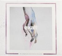 Shape You Took Before The Ache