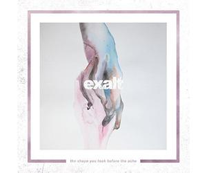Shape You Took Before The Ache [VINYL]