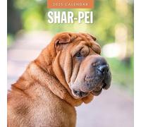Shar-Pei - 2025 Square Wall Calendar - by Red Robin Publishing