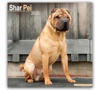Shar Pei Calendar 2025 Square Dog Breed Wall Calendar - 16 Month 9781804603888