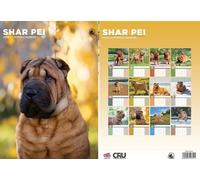 Shar Pei 2026 Calendar - A3 Size 30 x 42 cm, 12 Months of Great Photography