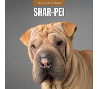 Shar-Pei - 2026 Square Wall Calendar - by Red Robin Publishing