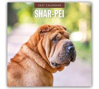 Shar-Pei 2027 Square Wall Calendar: Original Red Robin Publishing Ltd-Kalender [Mehrsprachig] [Kalender]