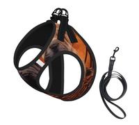 Shar Pei Black Puppy Small Dogs Gray Puppy Pets,Pet Harness,Adjustable Reflective Dog Harness,Pet Leash Vest,L