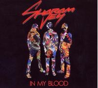 Sharam Jey - In My Blood