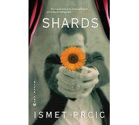 Shards: A Novel