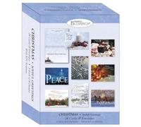 Shared Blessings Joyful Greetings 24 Religious Christmas Cards - King James Version Scriptures - Holiday Cards with Envelopes - Faith Based Christmas Cards - Assorted Designs