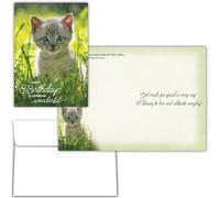 Shared Blessings Religious Peeping Kittens Birthday Card, KJV Scripture Bible Verse Cat Design, 5x7 Inch Cute Religious with Envelope