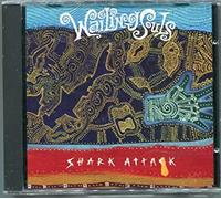 Shark Attack By Wailing Souls (1993-04-13)