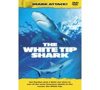 Shark Attack: The White Tip Shark [DVD]
