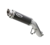 SHARK EXHAUST Factory carbon